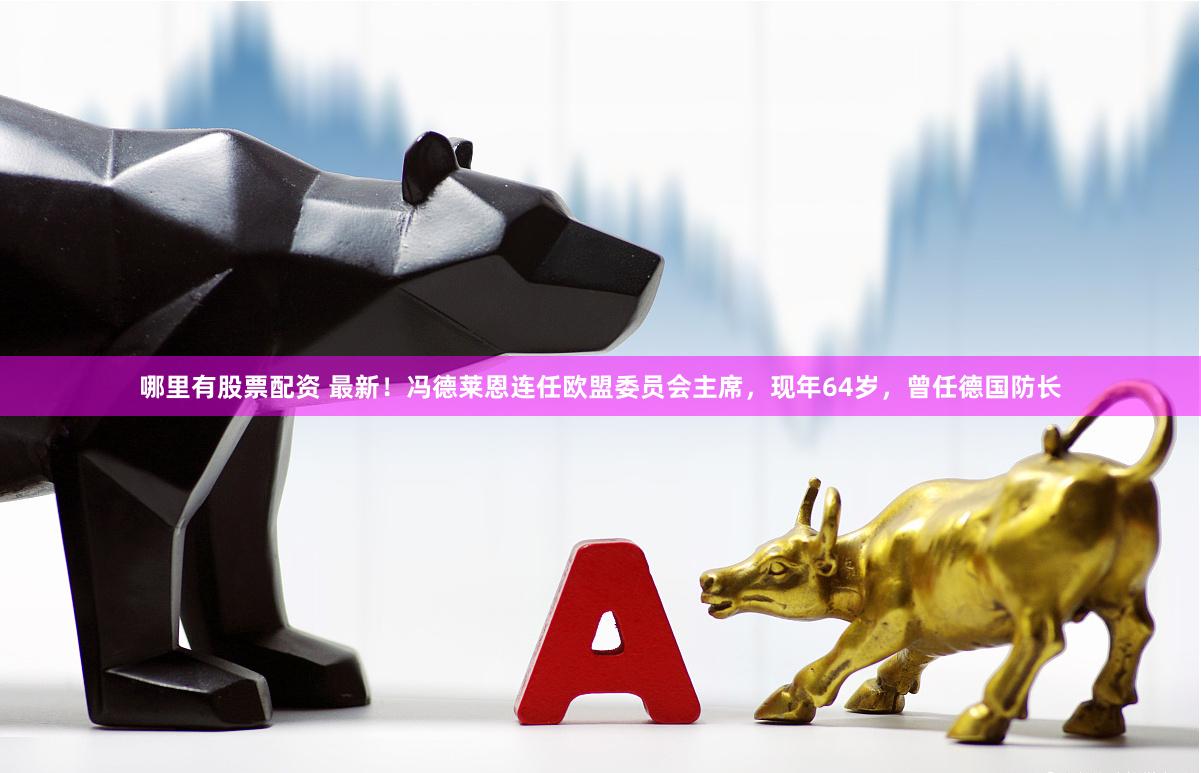哪里有股票配资 最新！冯德莱恩连任欧盟委员会主席，现年64岁，曾任德国防长