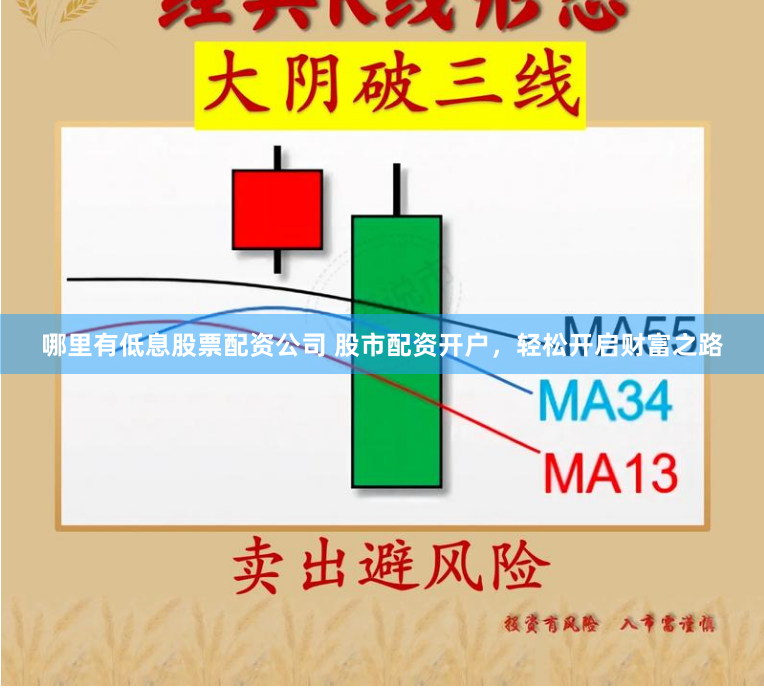 哪里有低息股票配资公司 股市配资开户，轻松开启财富之路